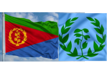 Eritrean Flags